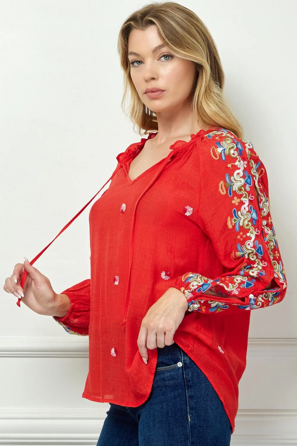 Embroidered Long Sleeve V-Neck Blouse