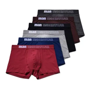 Man Basic Boxer Briefs 6-Pack